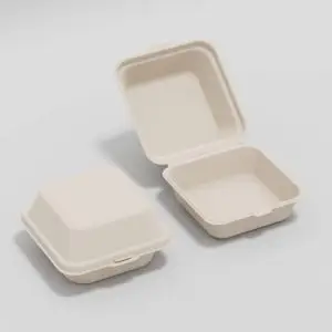 Disposable Food Packing Boxes