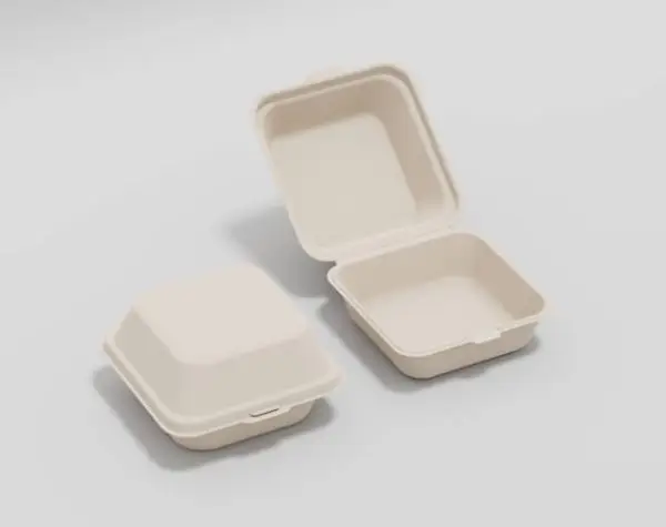 Disposable Food Packing Boxes